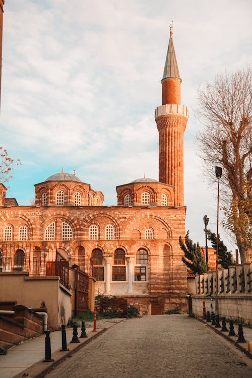 Δωρεάν στοκ φωτογραφιών με αστικός, βέφα τζαμί, γαλοπούλα