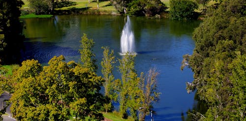 FOUNTAIN