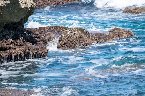 Free stock photo of foam, rocks, sea