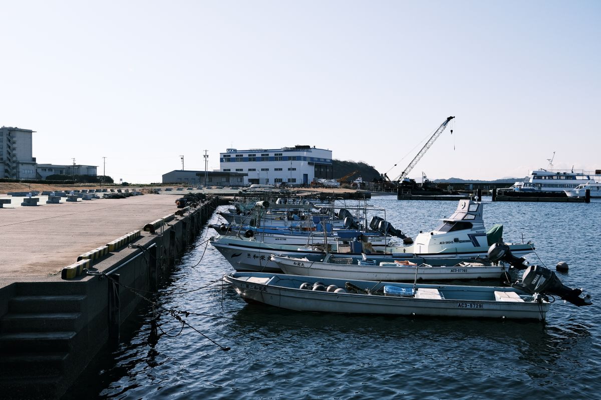 Japanese coastal harbor town with traditional fishing boats and hillside buildings in calm water