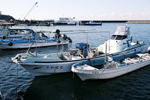 Foto profissional grátis de ancorado, costa, embarcações