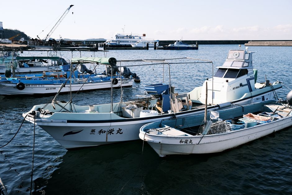 堤防から海を眺める釣り人の後ろ姿