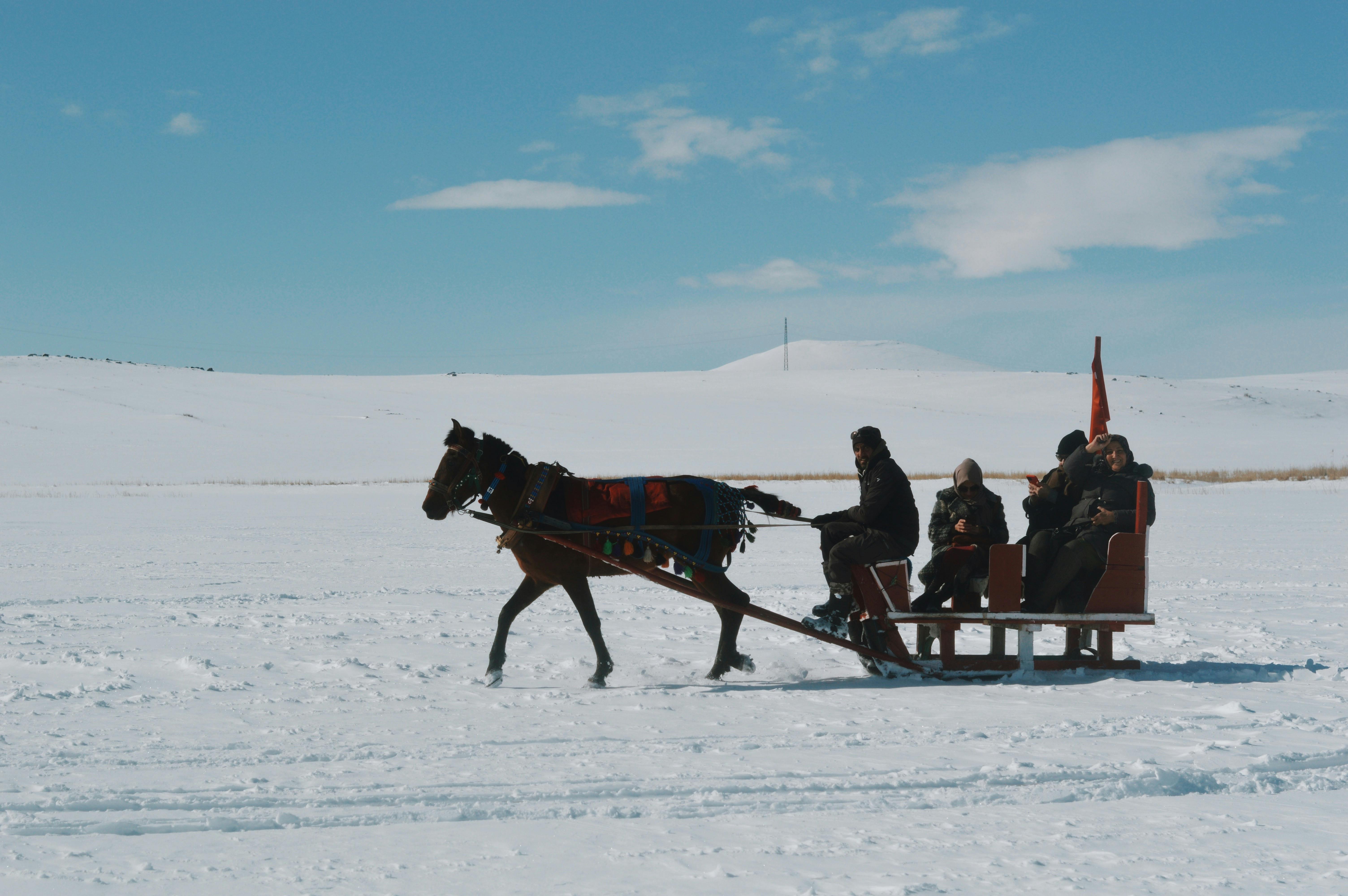 Experience a classic horse-drawn sled ride across Turkey's snowy landscapes. A perfect winter adventure.