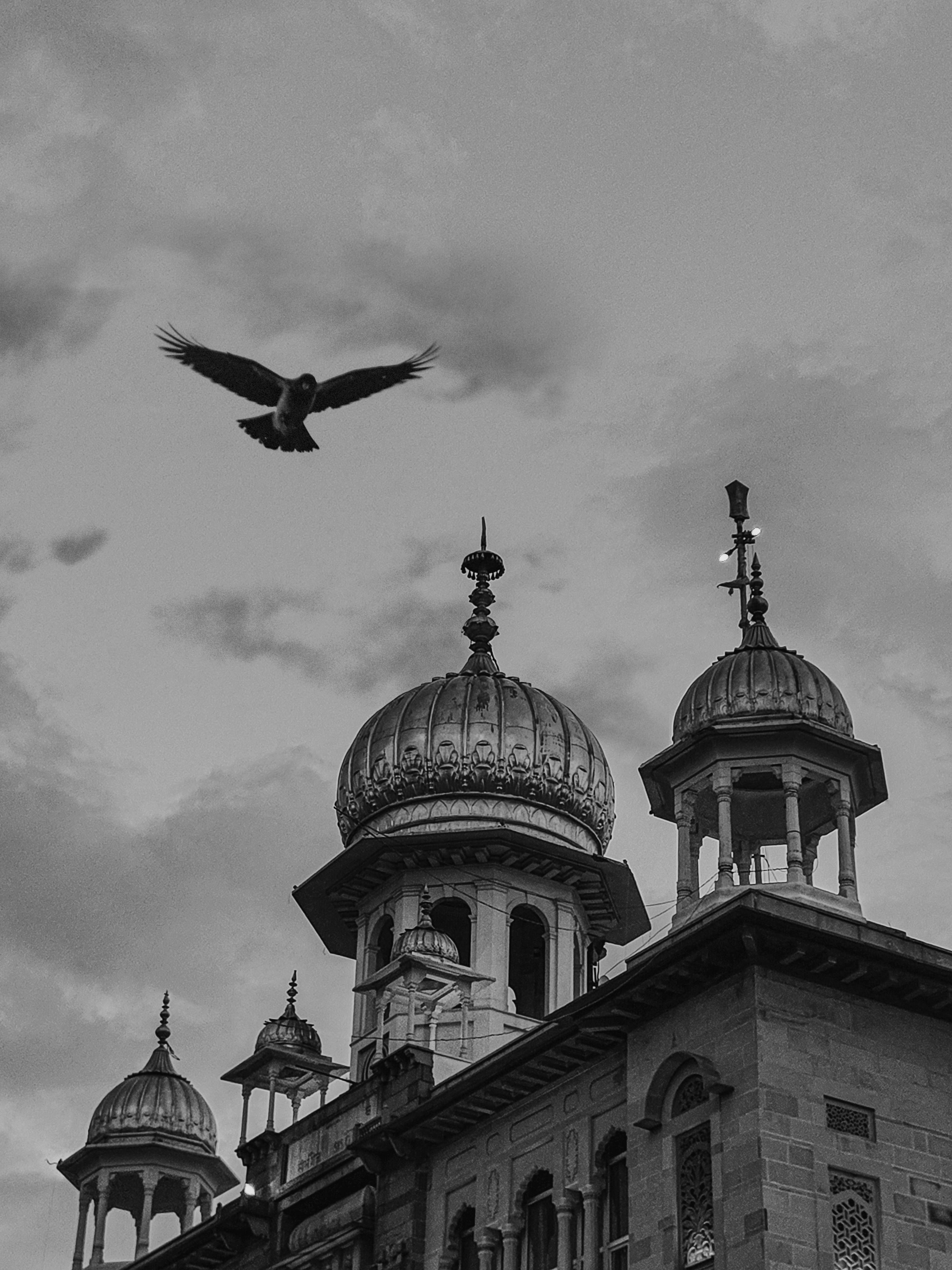 Black and white image of Gurudwara Sis Ganj Sahib with a bird in the sky, New Delhi