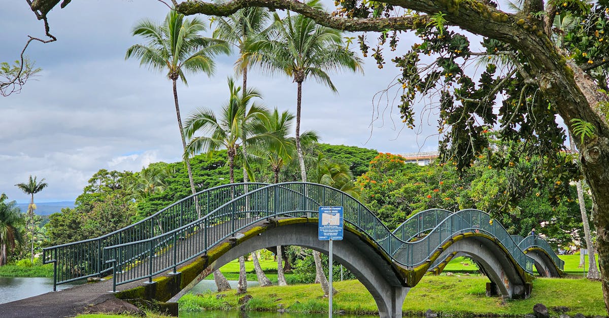 Photo by Brian Wolf Curved footbridge surrounded by tropical greenery in a Hilo, HI park.