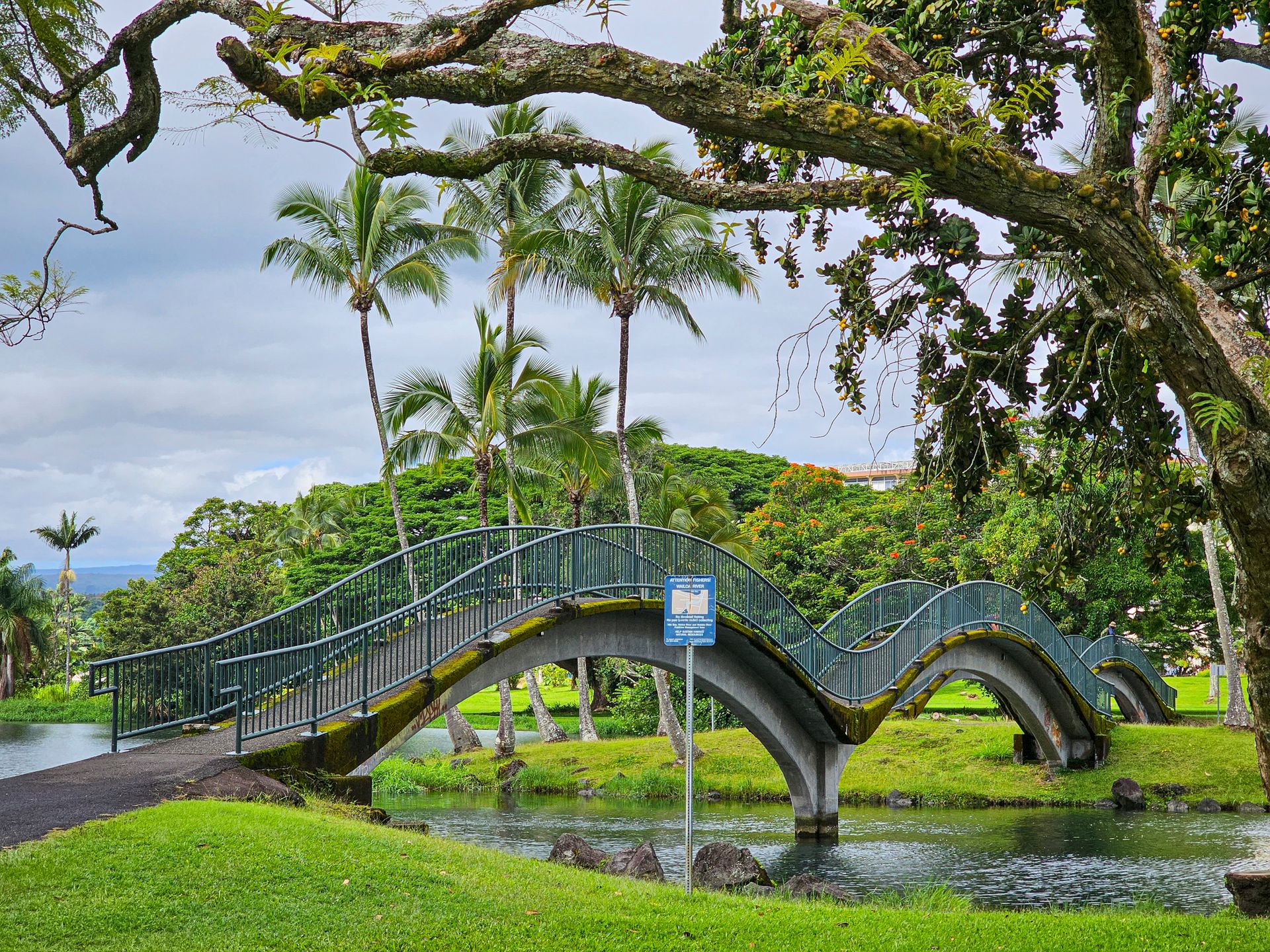 Hilo, HI