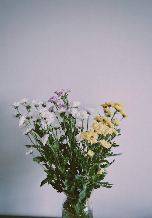 คลังภาพถ่ายฟรี ของ การถ่ายภาพหุ่นนิ่ง, ช่อดอกไม้, ดอกไม้