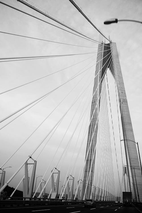 Black and White Photography of a Bridge