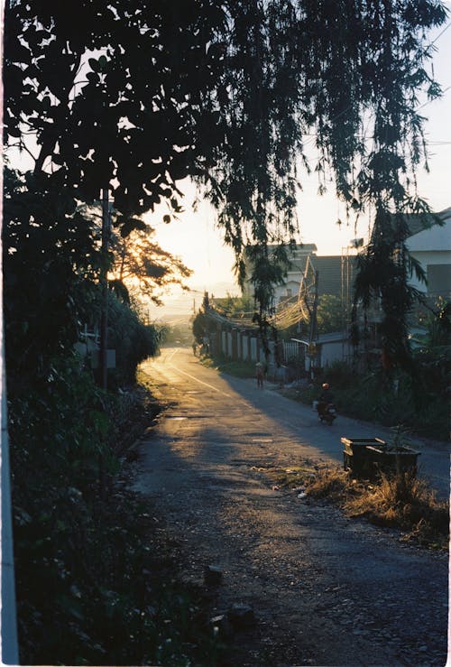 Foto profissional grátis de aldeia, aldeias, árvore