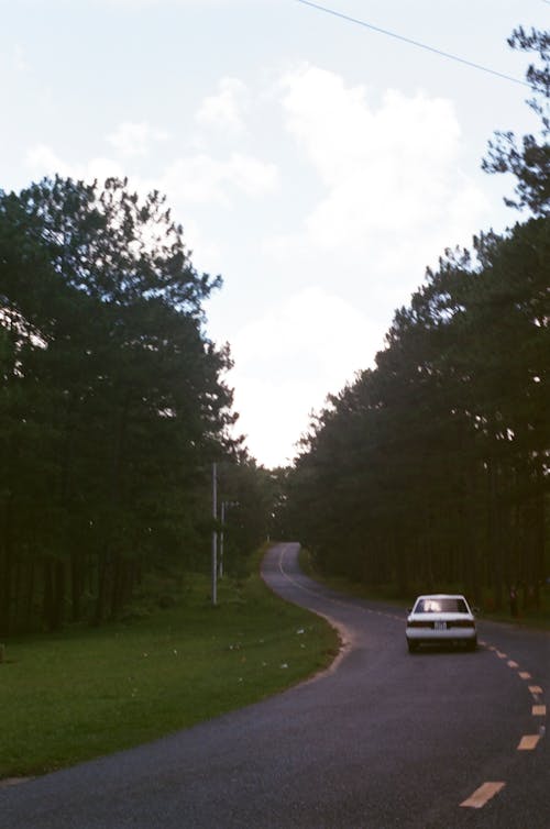 Foto profissional grátis de árvores, automóvel, estrada