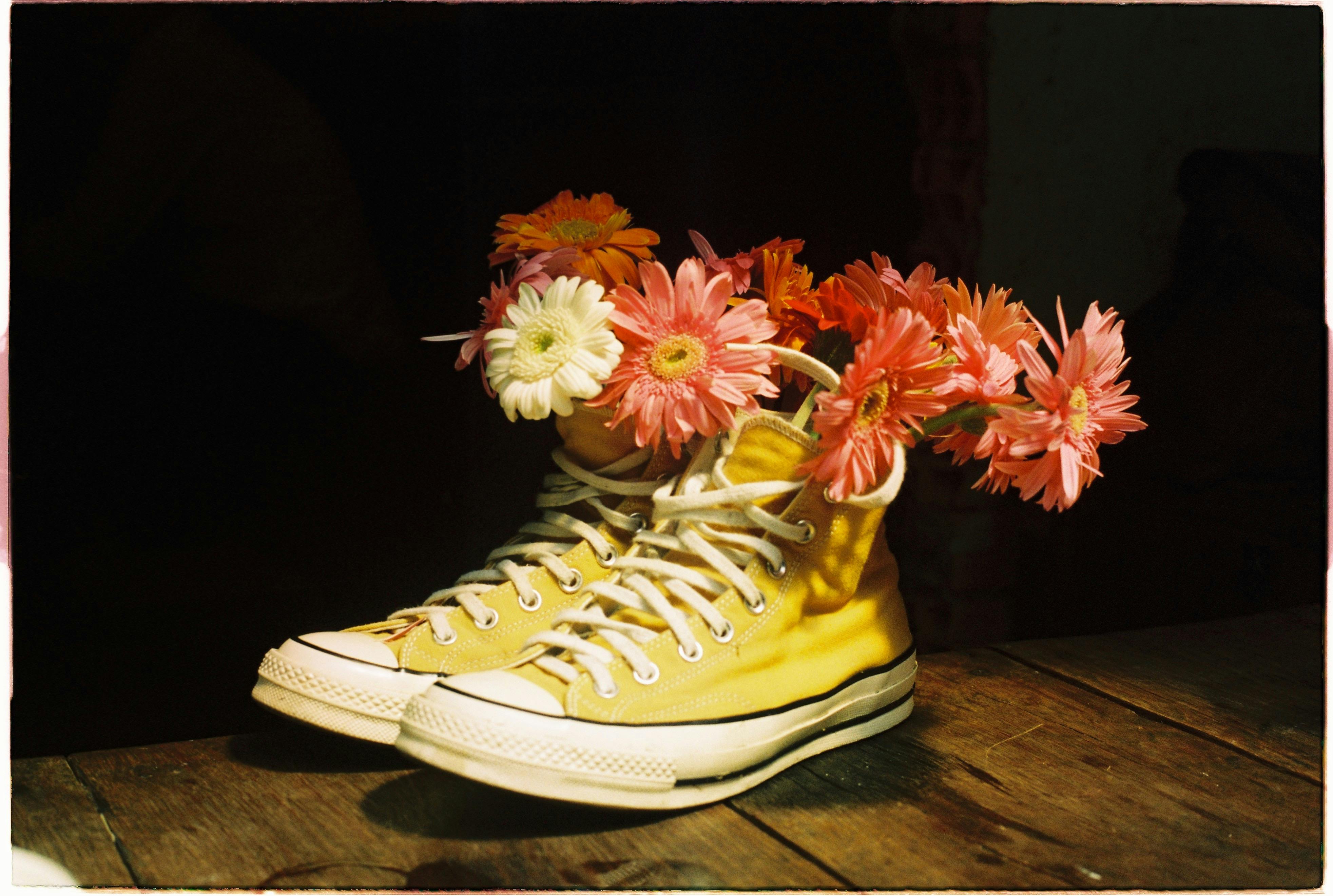 Yellow sneakers filled with vibrant gerbera daisies on a wooden surface.