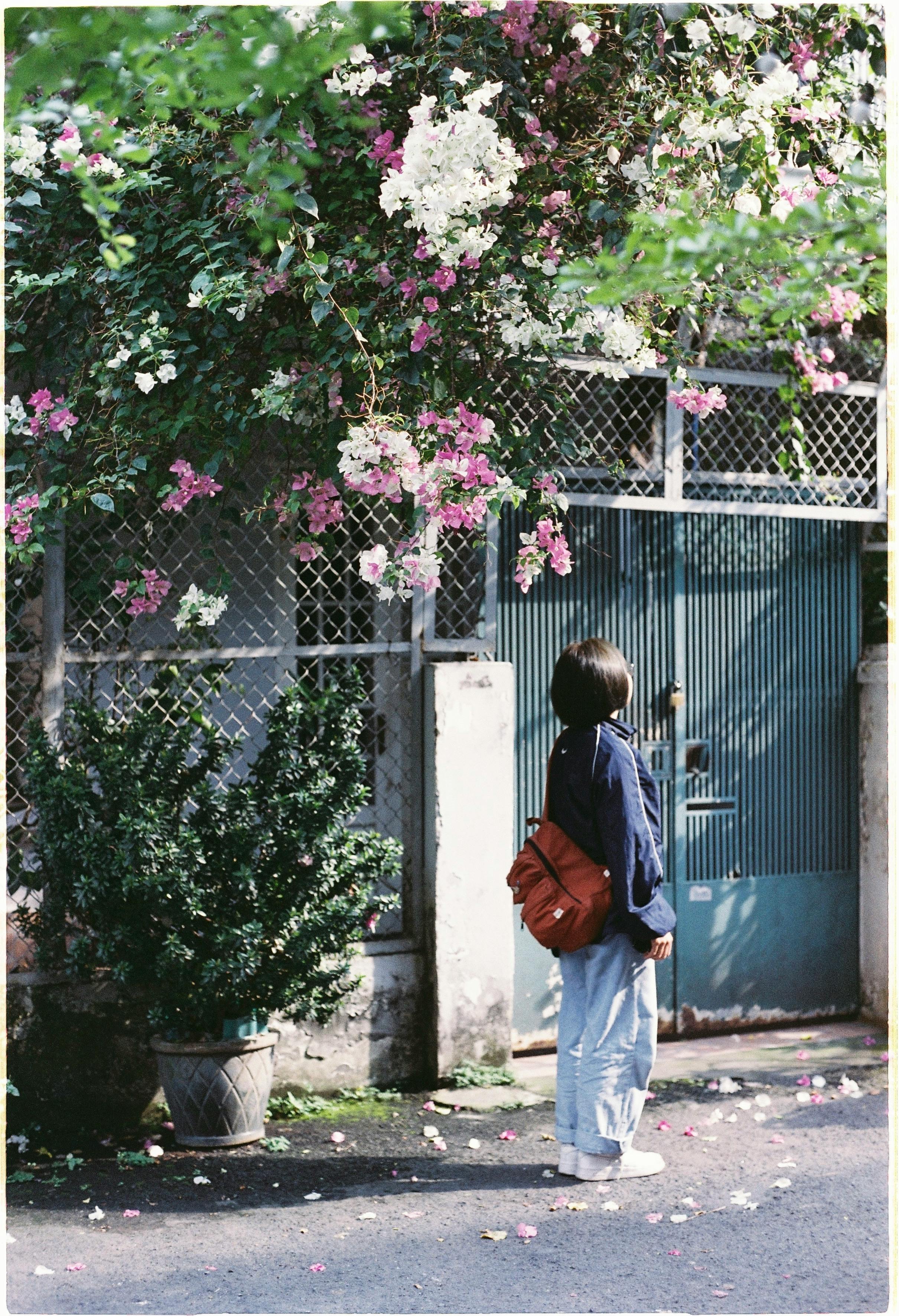 A person with a bag looks at a floral-covered gate on a city street.