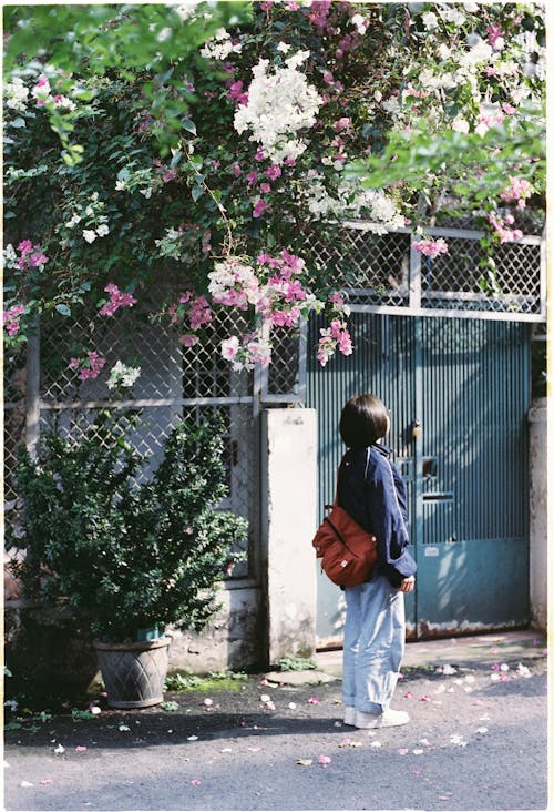 Fotobanka s bezplatnými fotkami na tému brána, človek, kvety