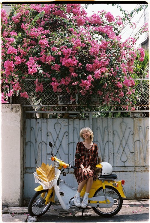 คลังภาพถ่ายฟรี ของ การจัดวาง, ดอกไม้สีชมพู, นั่ง
