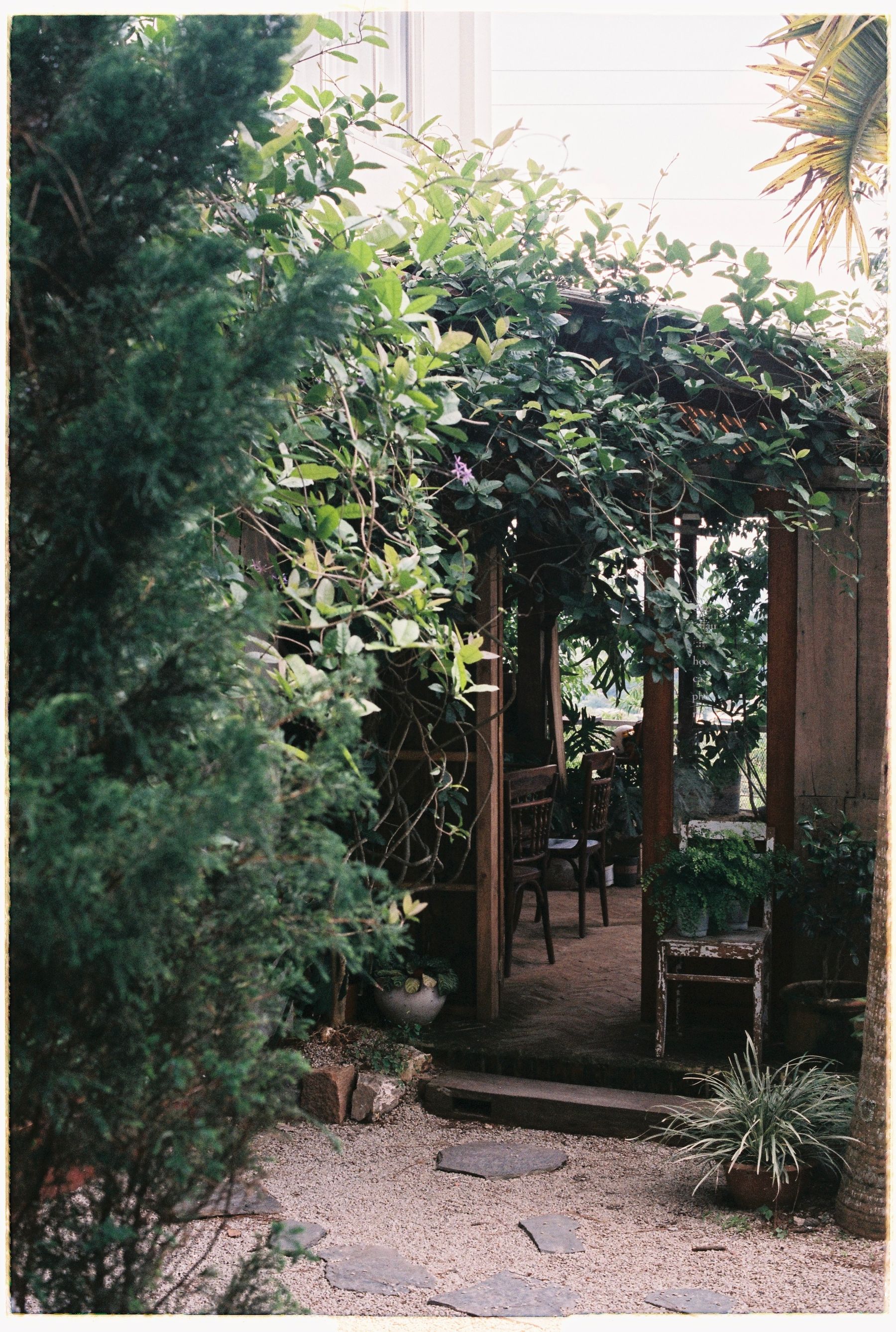 Pergola en bois adossée à une maison