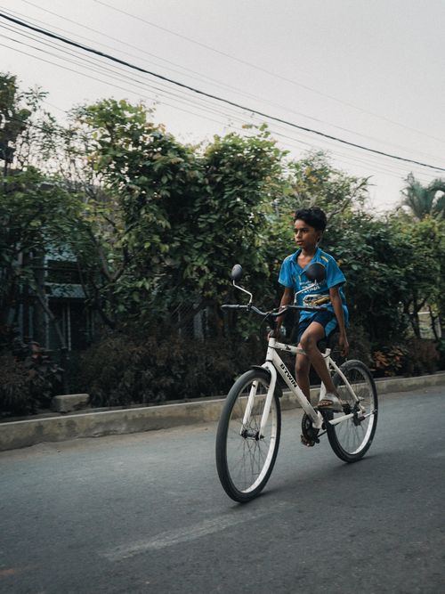 Free A young boy rides a bicycle down a quiet suburban street surrounded by greenery. Stock Photo