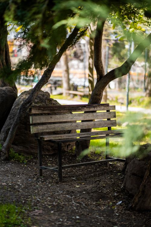 Free A tranquil wooden bench in a serene park setting surrounded by lush trees and natural beauty. Stock Photo