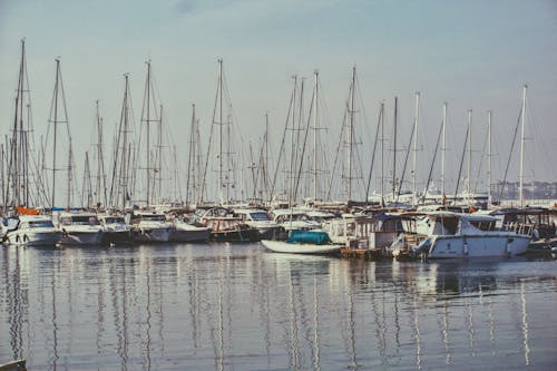 A large group of boats in the water