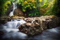 宁静的瀑布和急流流过岩石，四周环绕着充满活力的森林树叶
