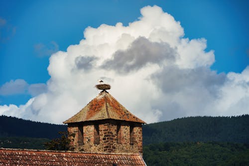 Безкоштовне стокове фото на тему «вежа, вежі, дах»