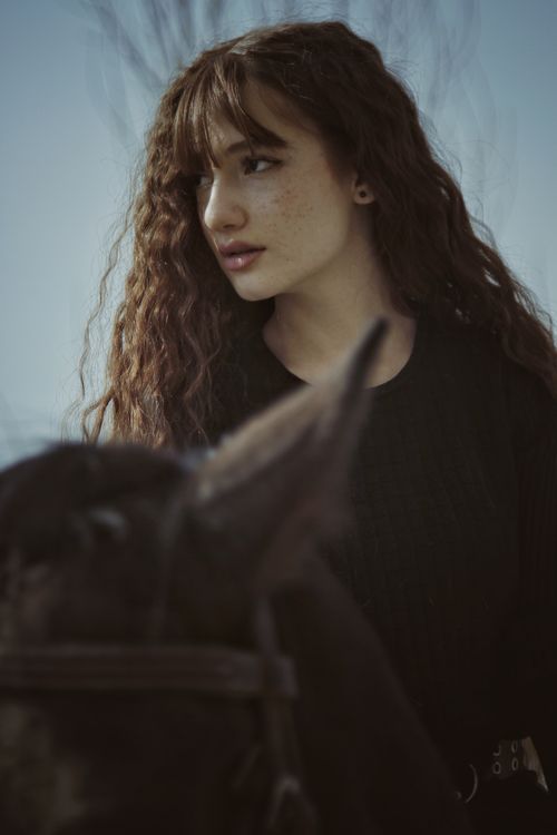 Free A thoughtful woman with long curly hair stands beside a horse in natural light. Stock Photo