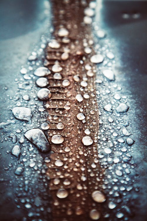 Bezpłatne Darmowe zdjęcie z galerii z głębia pola, krople deszczu, krople wody Zdjęcie z galerii