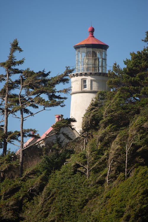 A lighthouse is perched on top of a hill