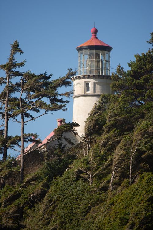 Free A vertical view of Heceta Head Lighthouse surrounded by lush trees on a sunny day in Oregon, USA. Stock Photo