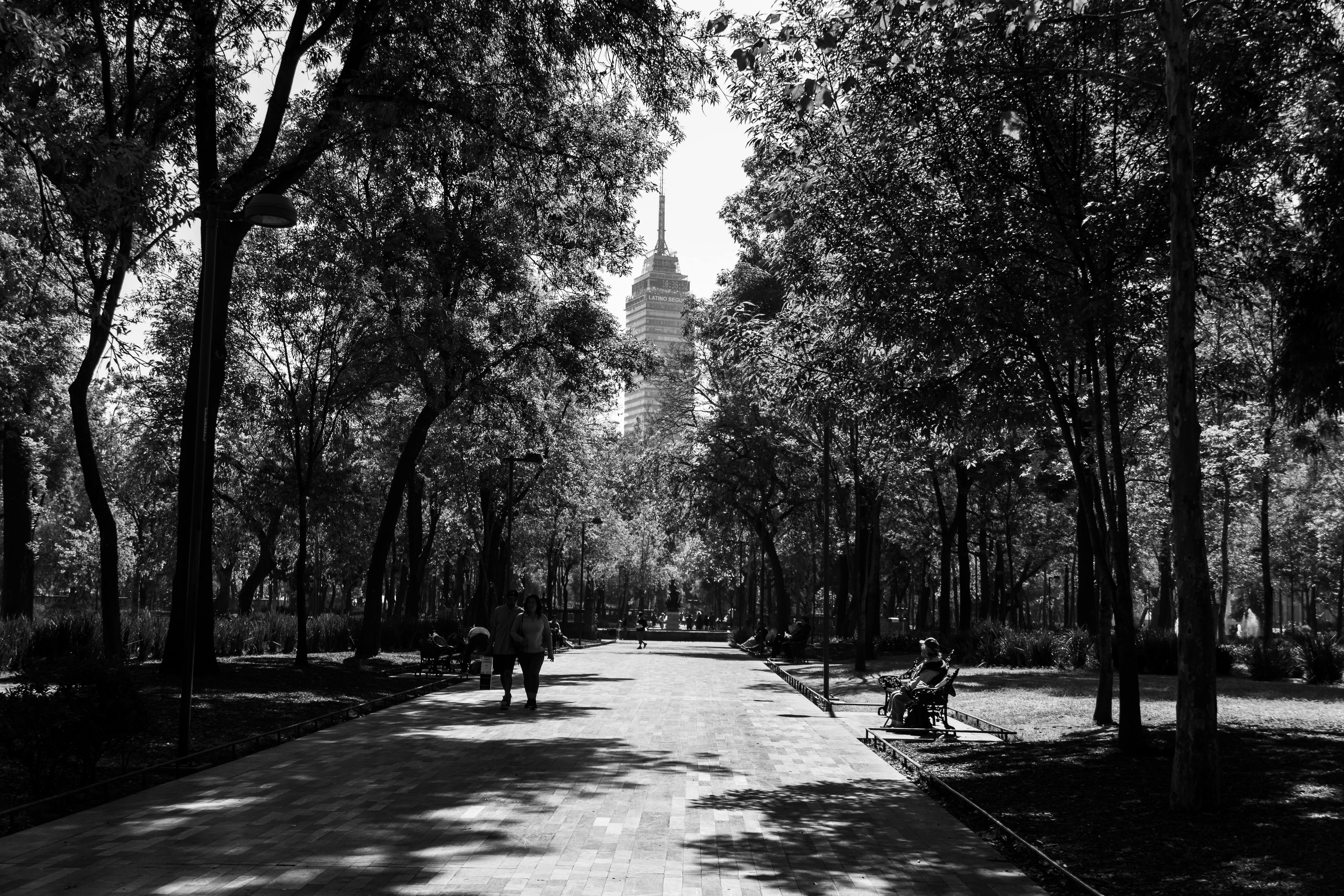 Black and white view of Alameda Central in Mexico City, showcasing Torre Latinoamericana.