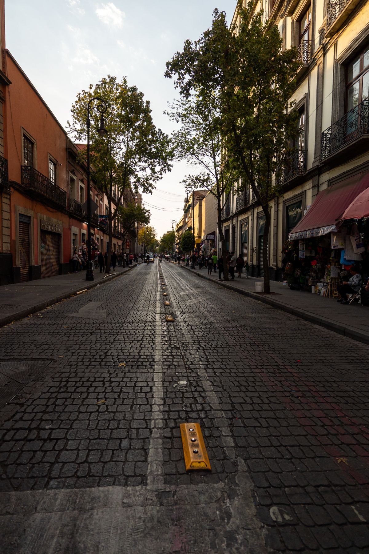 Explore a beautiful cobblestone street in Mexico City, lined with historic buildings and trees, during sunset.