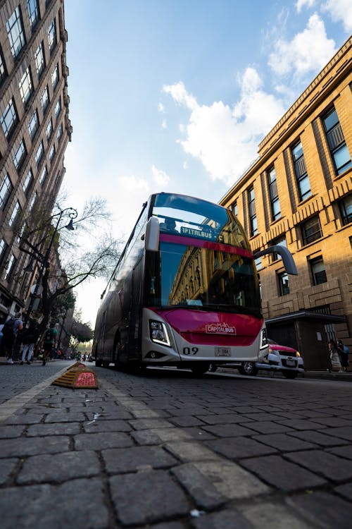 A pink bus is driving down a city street