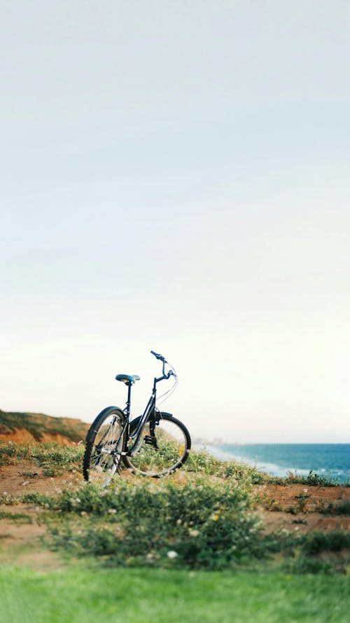 A bicycle is parked on the grass near the ocean