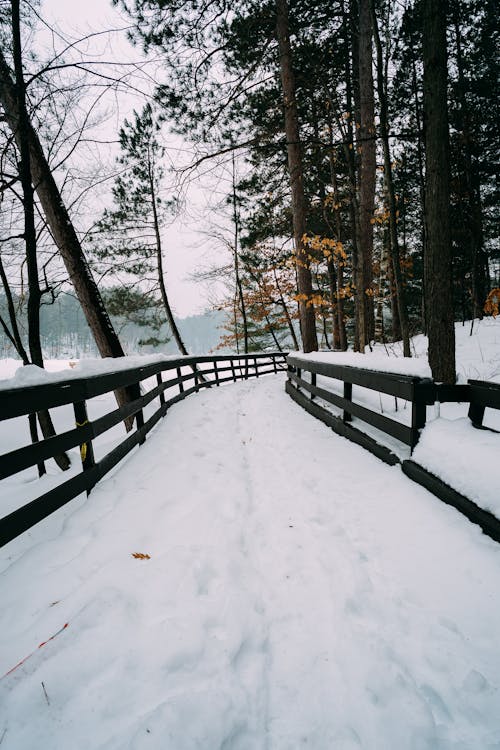 大雪覆蓋的路徑