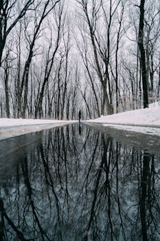 一个人独自走在绿树成荫的雪地上，倒影映在水坑中