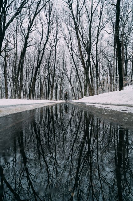 A person walks alone on a snowy road lined with trees, reflecting in a puddle.