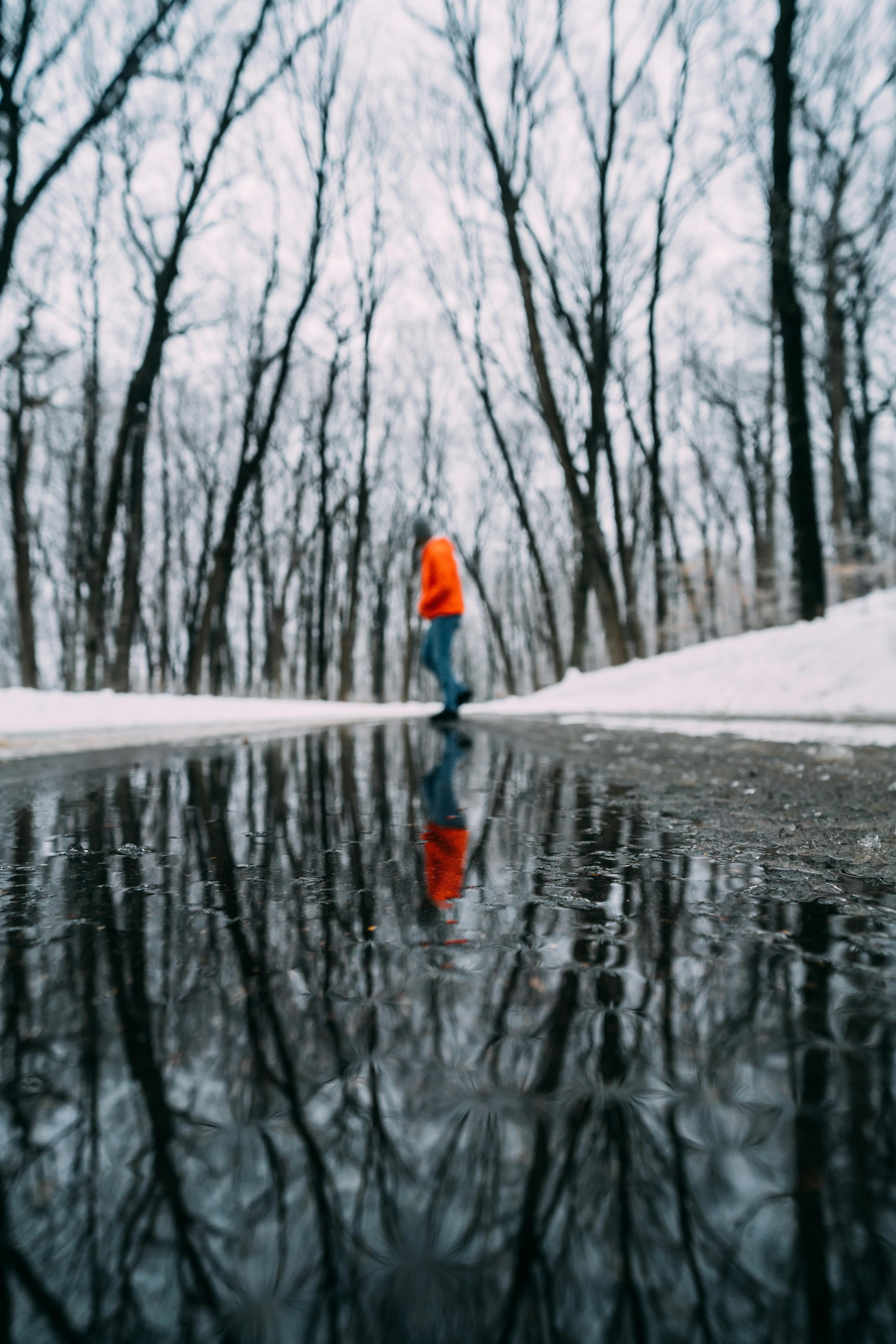 冬季，一个人走在森林附近积雪覆盖的道路上，倒映在水坑中