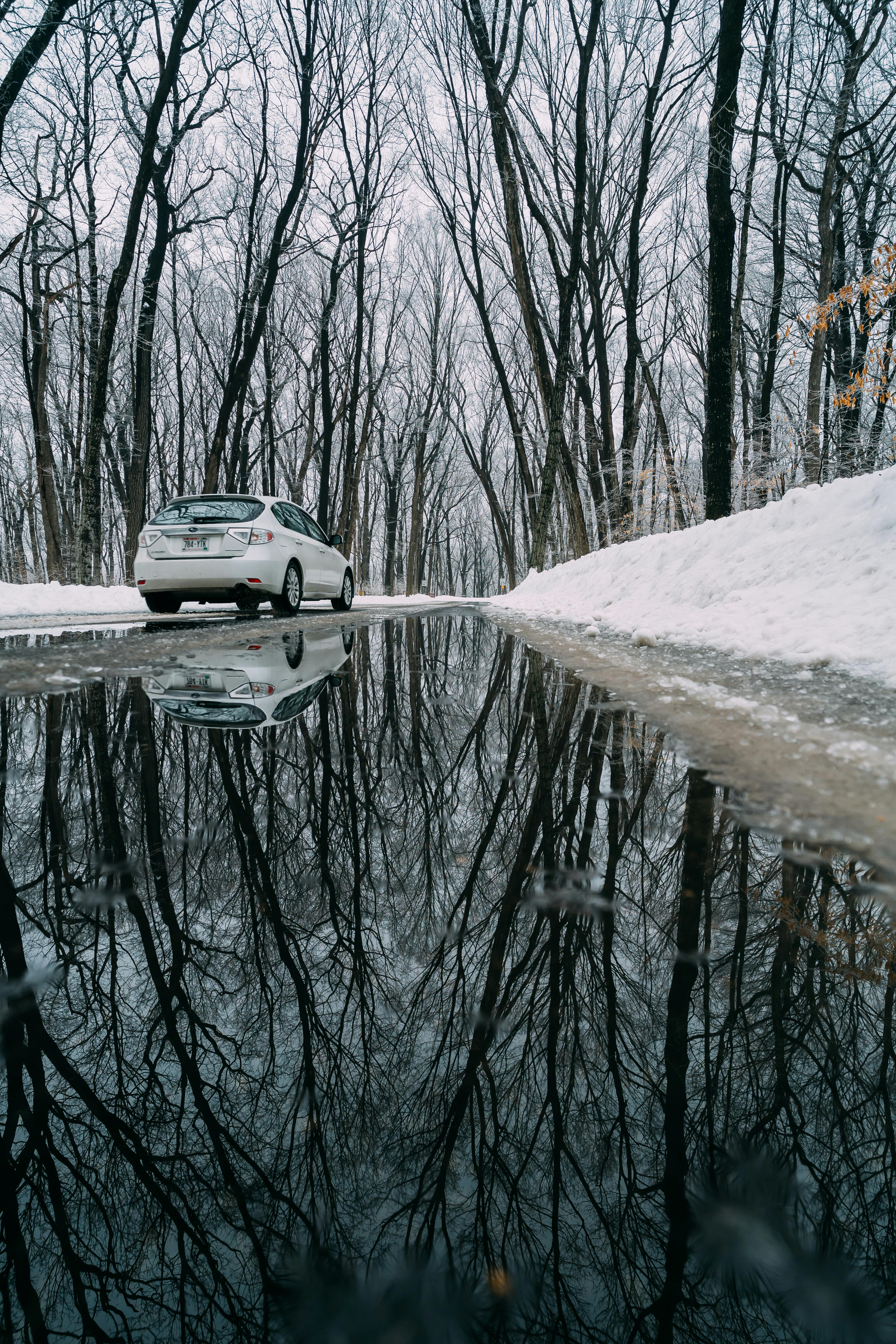 白雪皑皑的道路上，一辆白色汽车驶过，水坑中倒映着树木，捕捉到了宁静的冬日景象