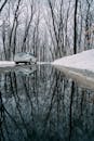 白雪皑皑的道路上，一辆白色汽车驶过，水坑中倒映着树木，捕捉到了宁静的冬日景象