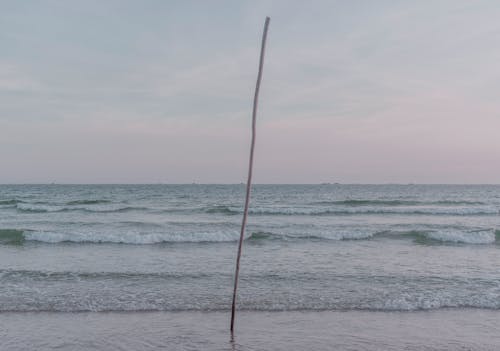 Gratis stockfoto met dageraad, golven, houten stok