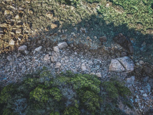 Aerial view of a rocky shoreline
