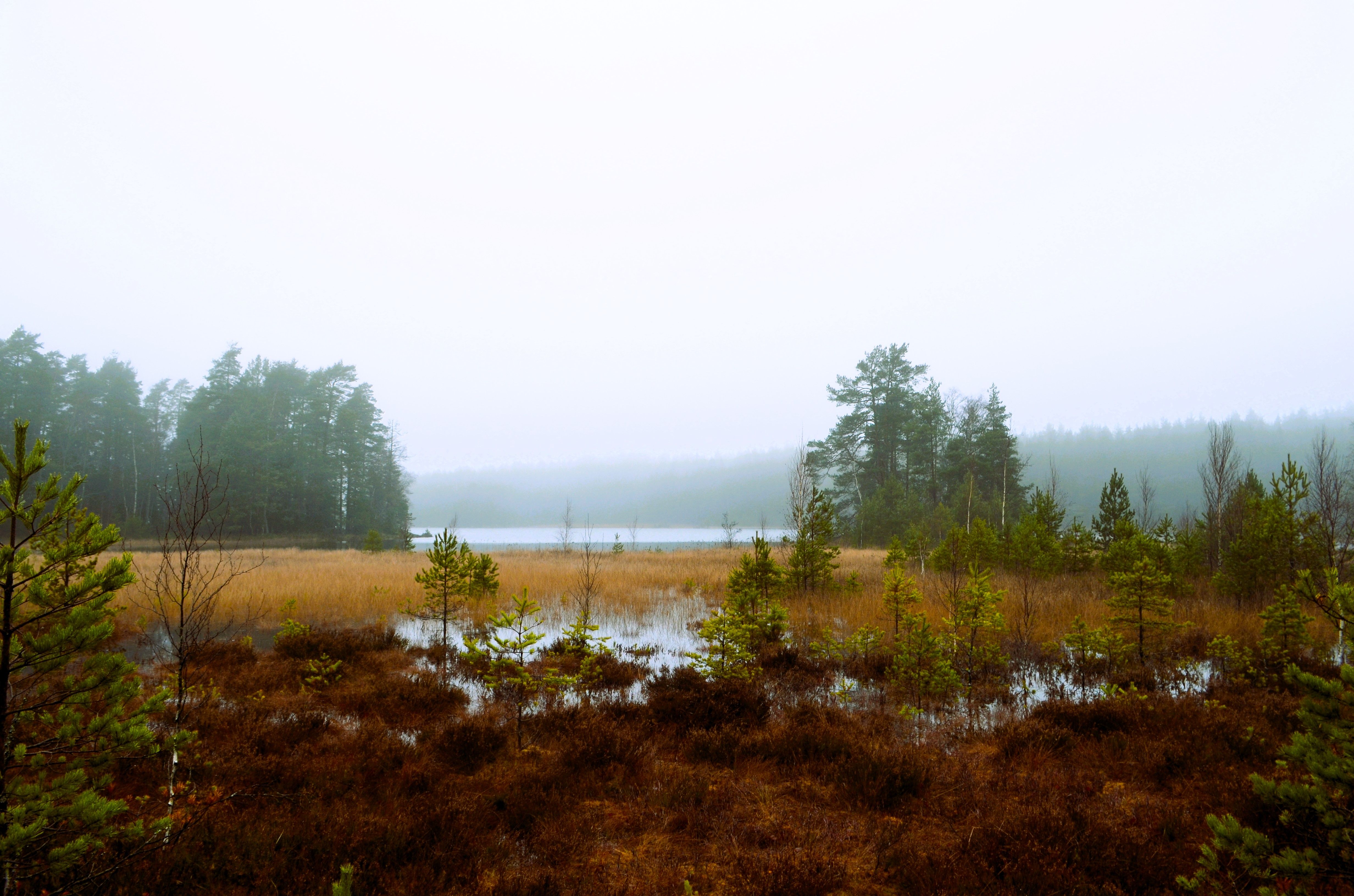Hikers enjoying a serene trail in Nuuksio National Park near Helsinki, Finland