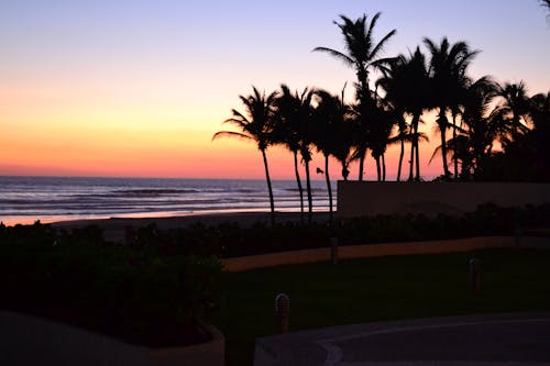 Free stock photo of acapulco, beach, evening