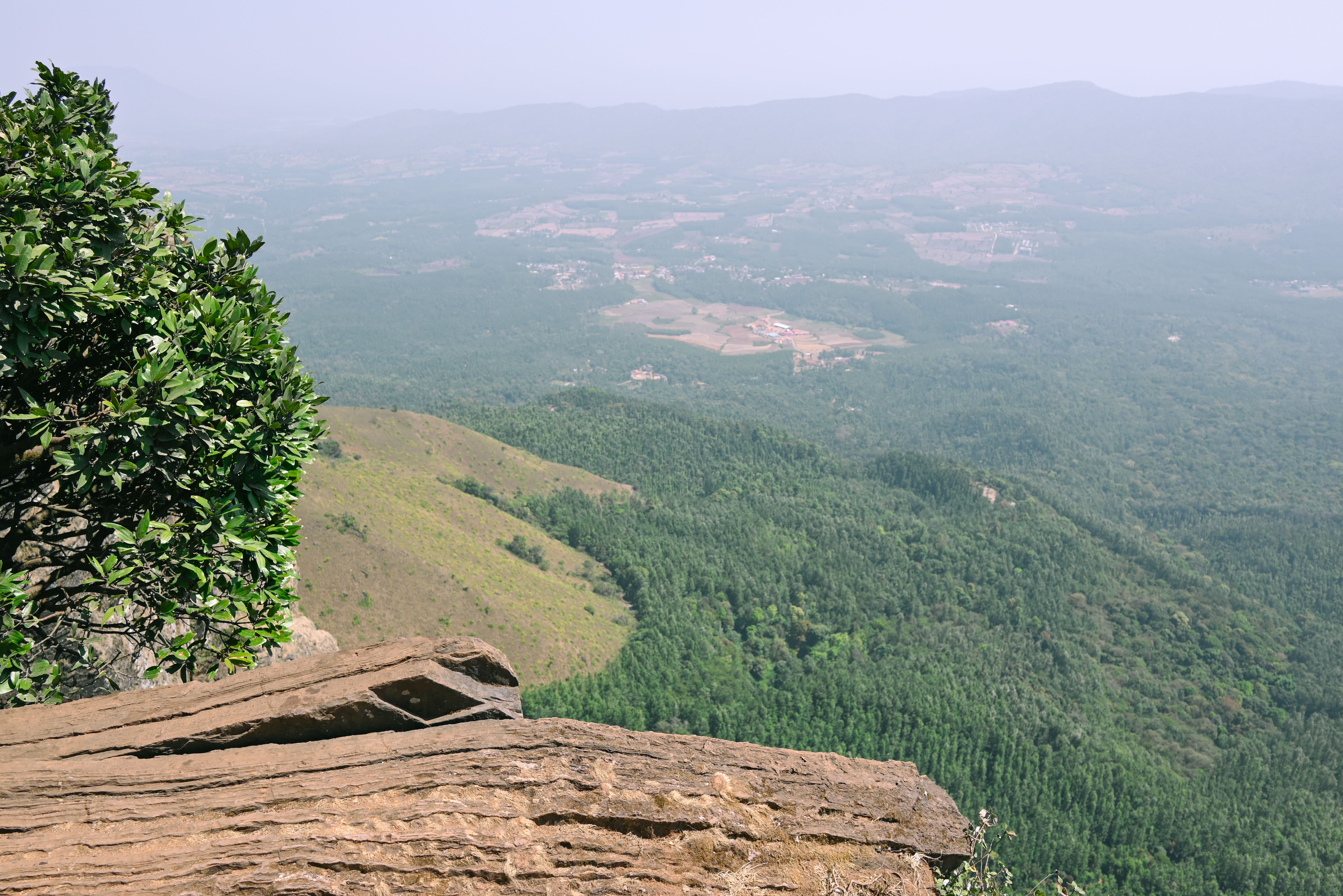 Where to Eat in Coorg: Local Food Guide