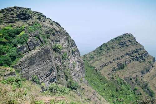 Gratis lagerfoto af bjerge, chikkamagaluru, hældning