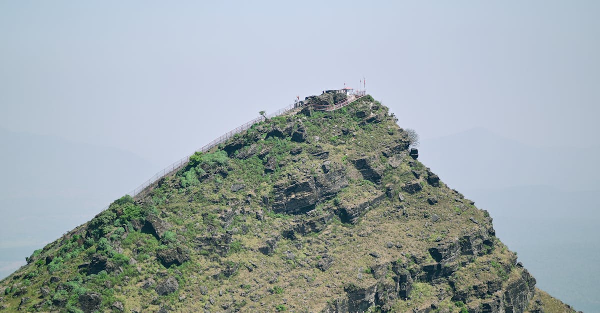 casibom giriş