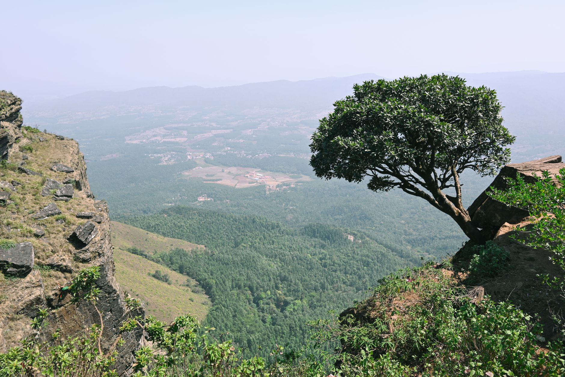 Best Resorts in Coorg for a Weekend Getaway