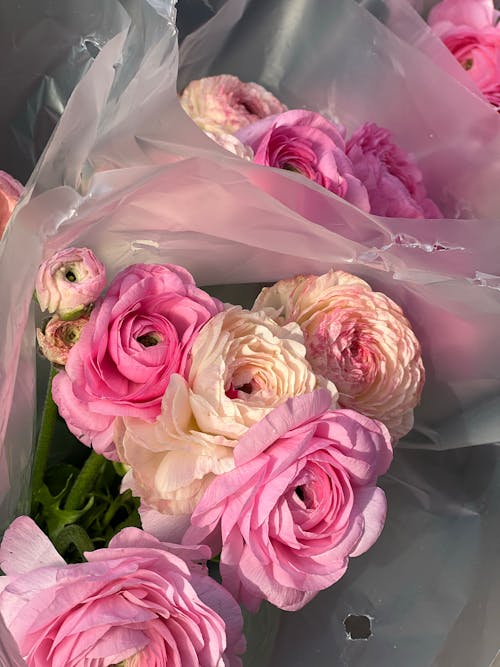 Gratis stockfoto met boeketten, Kant-en-klaar, roze bloemen