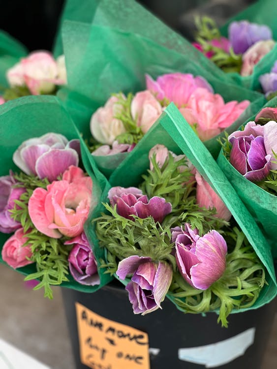 A bunch of pink and purple flowers in a black pot