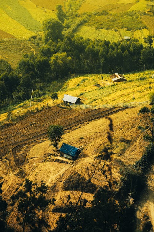 A photo of a farm with a house and a field