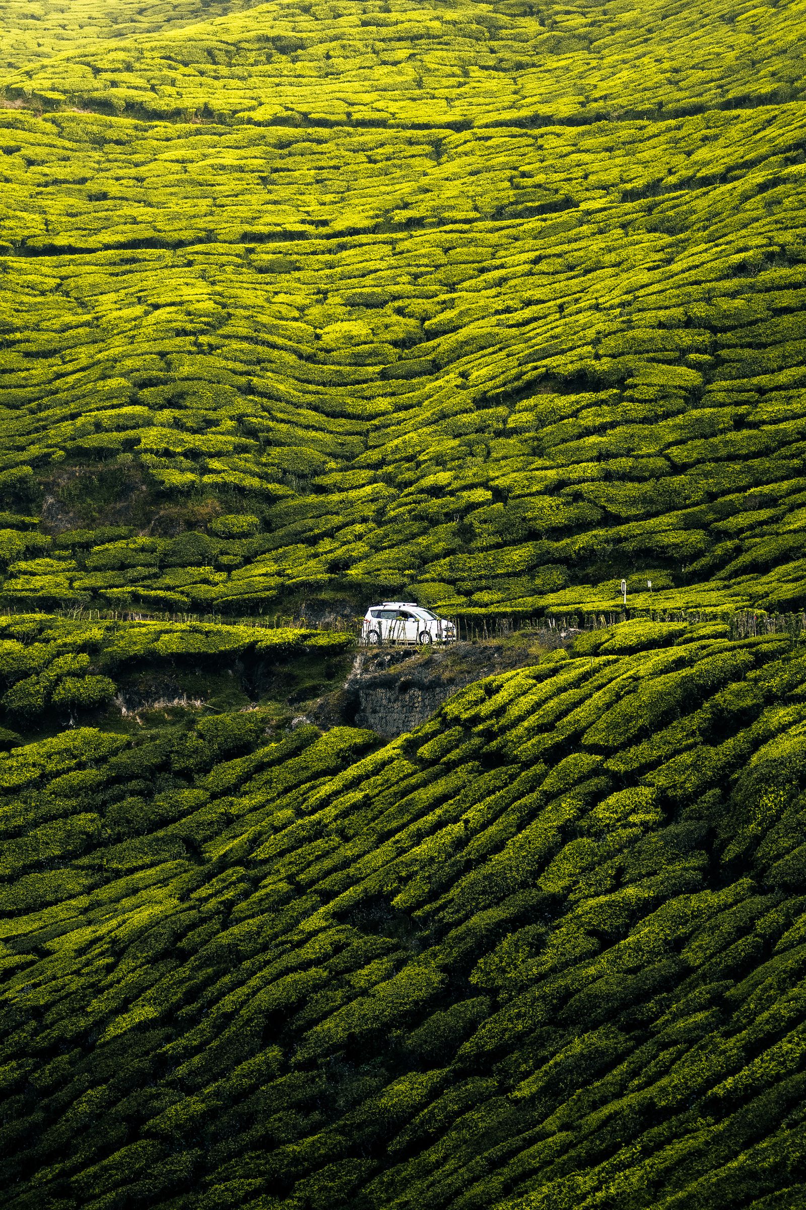 Horizontal Road Photos, Download The BEST Free Horizontal Road Stock ...